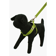 Wagging Green Bamboo Zen
