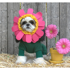 Flower Costume