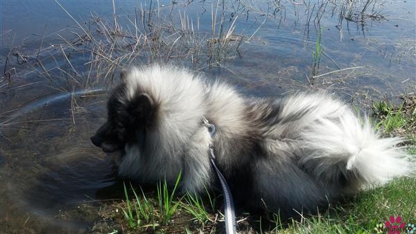 Enjoying the day at the pond