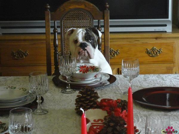 Did someone say dinner was ready?