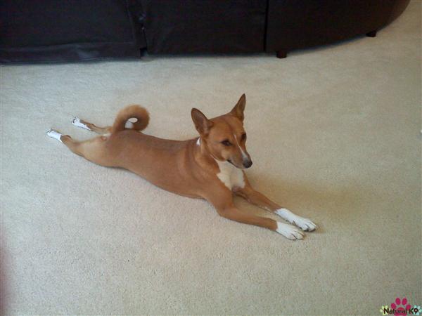 Time for yoga