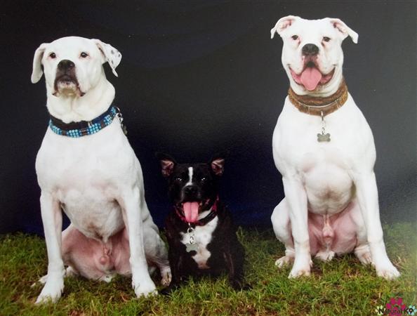 One of these things is not like the other 