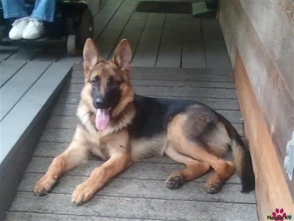 KATO