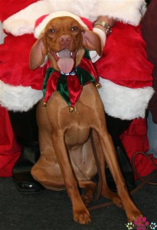 Peanuts First Christmas
