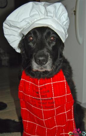 Sous Chef