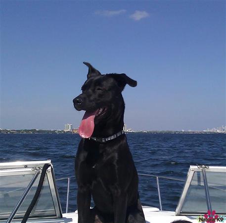 Jack