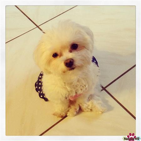 Minnie