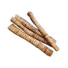 Bingo Buffalo Trachea