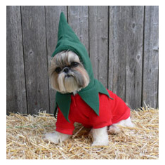 Chili Pepper Costume