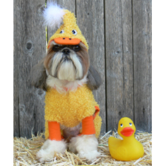 Duck Costume