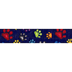 Elmos Closet Blue Paws Buckle Collar