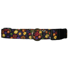 Elmos Closet Heidi Buckle Collar