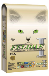 Felidae All Life Stages
