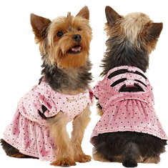 Juicy Couture Dog Pink Dot Bow Dress