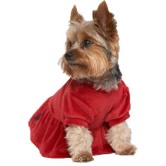 Juicy Couture Dog Velour Dress