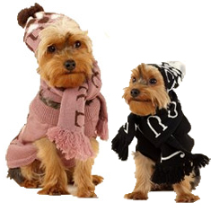 Juicy Couture Intarsia Sweater Hat Scarf Gift Set