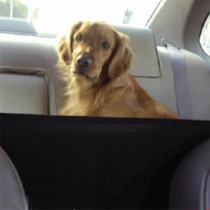 Kyjen Front Seat Barrier