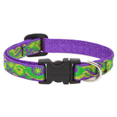 Lupine Pet Big Easy Collar