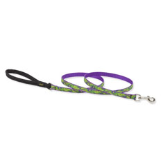 Lupine Pet Big Easy Padded Handle Lead