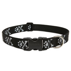 Lupine Pet Bling Bonz Collar