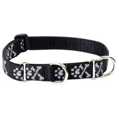 Lupine Pet Bling Bonz Combo Collar