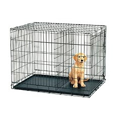 Midwest iCrate with Divider