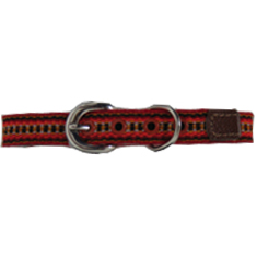 Orange Collar