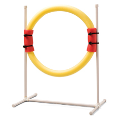 PetSafe Ring Jump