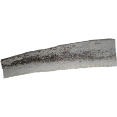Sliced Organic Antler