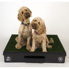 The Pet Loo