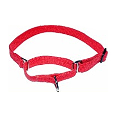Timberwolf Martingale Collar