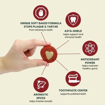 Ark Naturals Protection Plus Brushless Toothpaste Large Dog Dental Chews