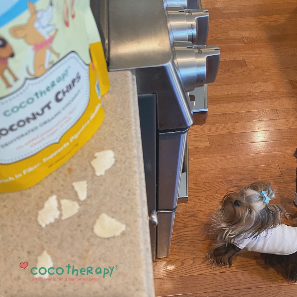 Cocotherapy Organic Coconut Chips