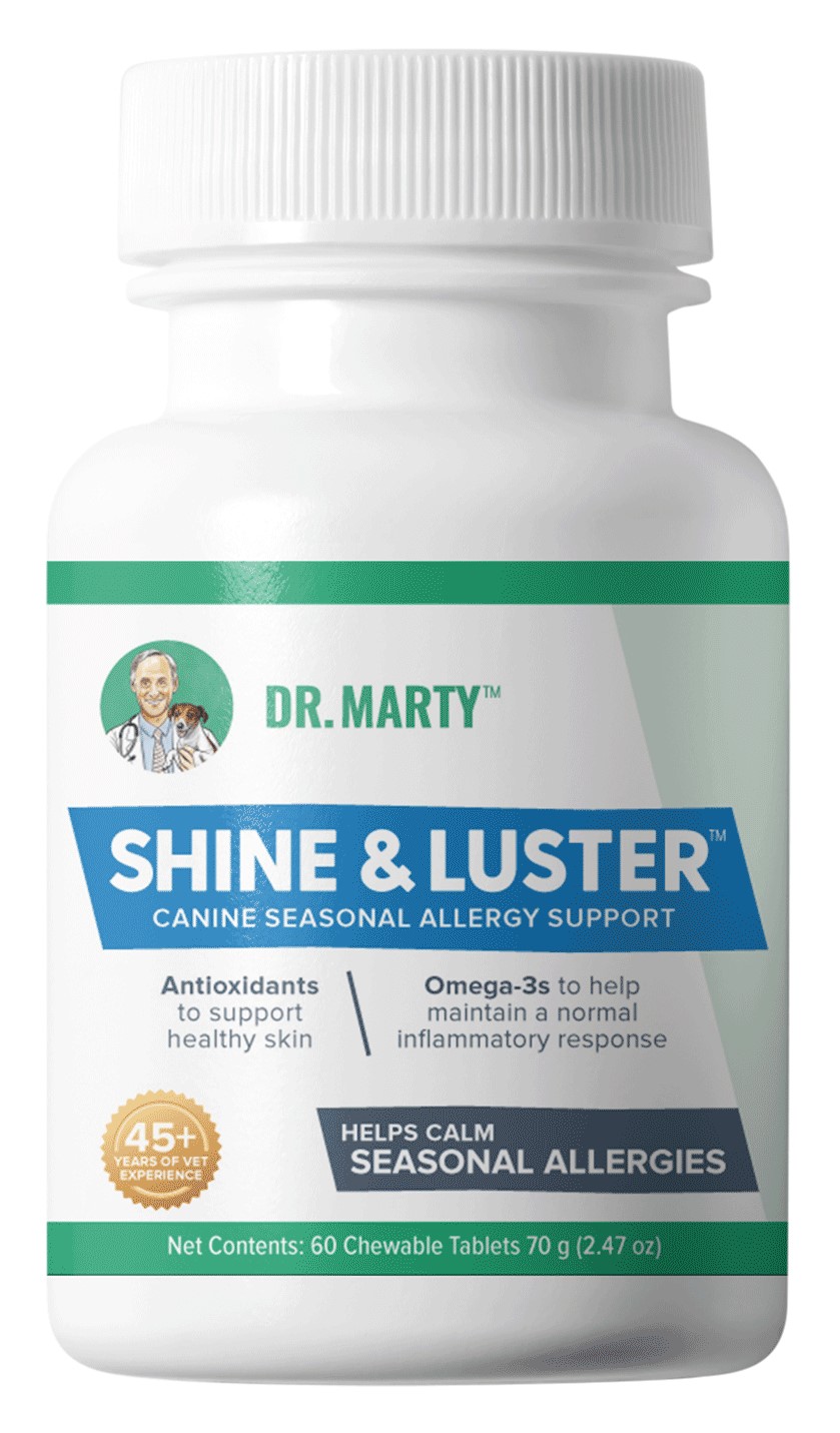 Dr Marty Shine Luster Seasonal Allergy Support Chewables for Dogs