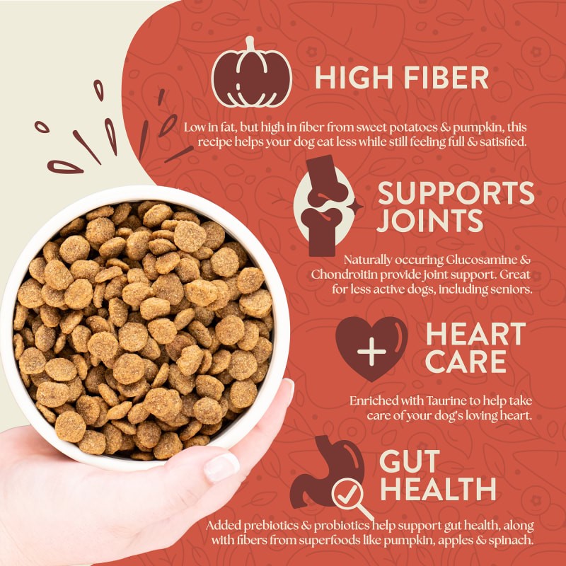 Earthborn Holistic Weight Control Dog Food