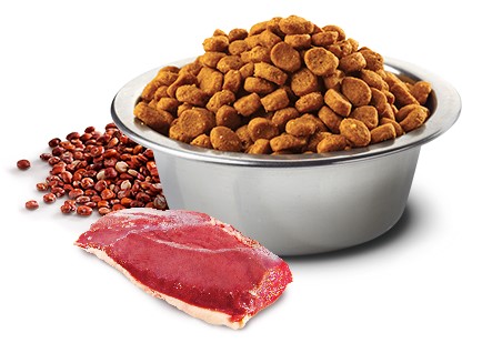 Farmina Dog Can Skin Coat Duck Quinoa Coconut