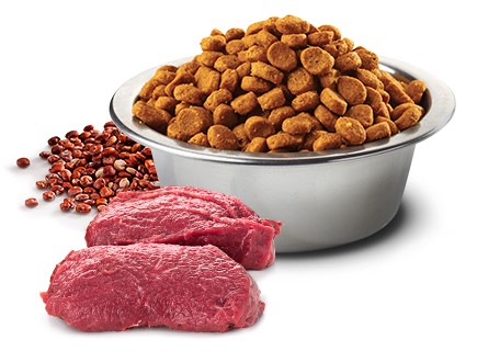 Farmina Dog Can Skin Coat Venison Quinoa Coconut