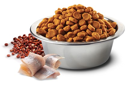 Farmina Grain Free LID Quinoa Skin and Coat Herring Dry Cat Food