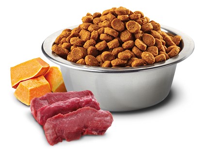 Farmina Grain Free Venison and Apple Dry Food for Cats