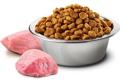 Farmina ND Neutered Lamb Pumpkin and Blueberry Adult Dry Cat Food