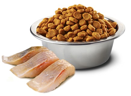 Farmina Ocean Neutered Herring Orange Adult Dry Cat Food