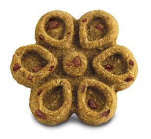 Fruitables Biggies With Real Crispy Bacon Apple Dog Treats