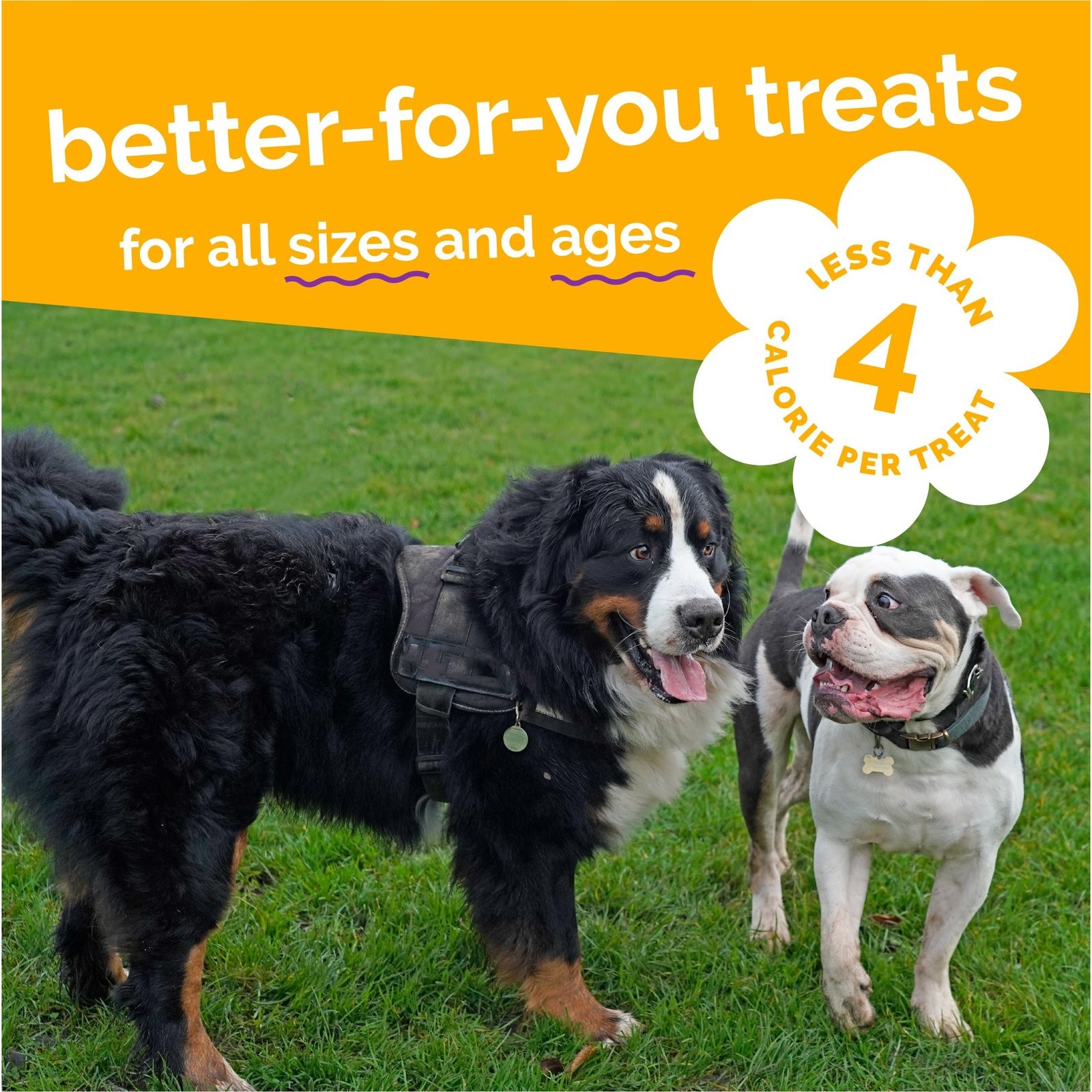 Fruitables Skinny Minis Dog Treats