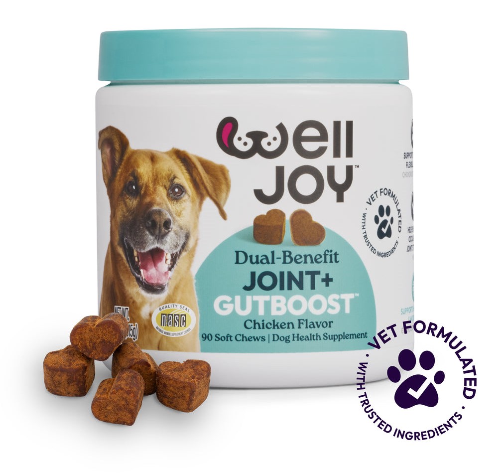 Get Joy Joint Supplement Supporting Joint Mobility Health Dog Chew