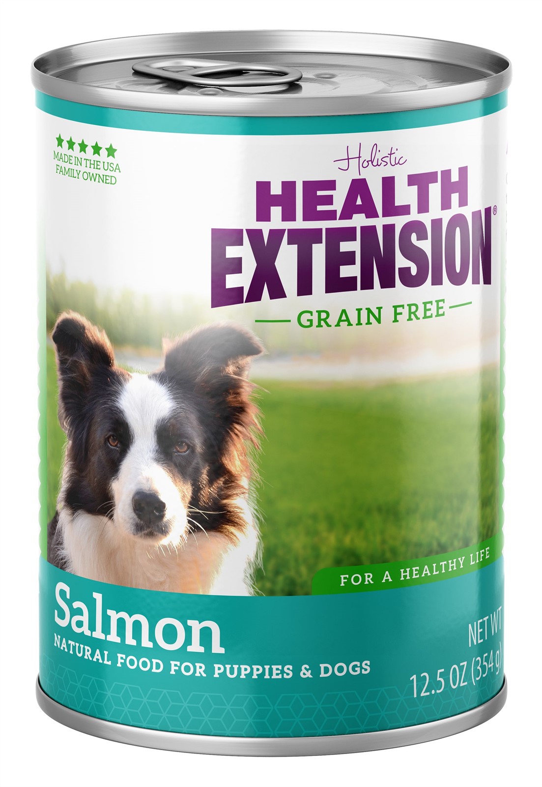 Health Extension Grain Free Salmon Dog Food Can