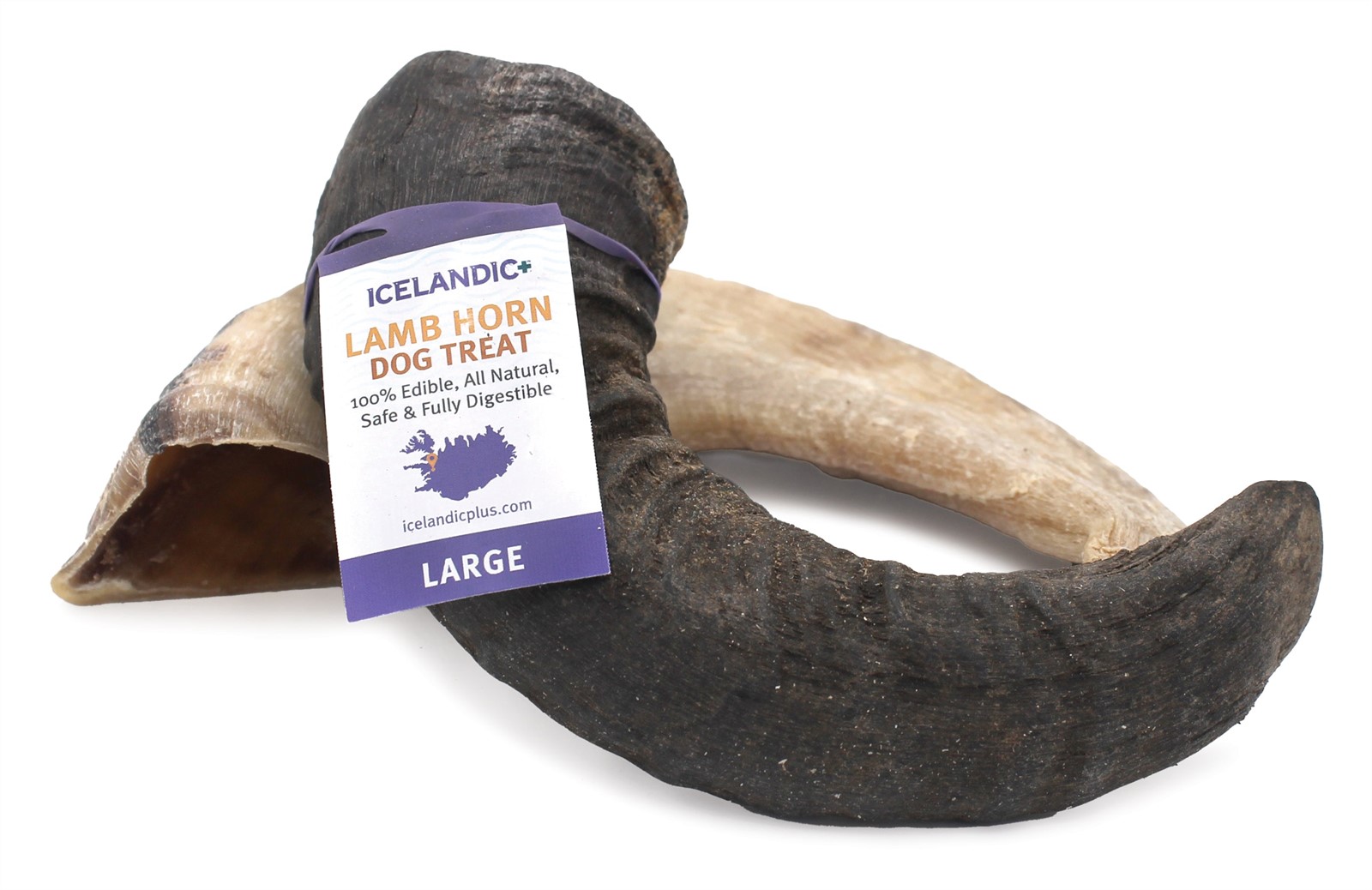Icelandic Lamb Horn Dog Treat