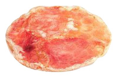 Mast Pet Beef Bully Bladder Frisbee