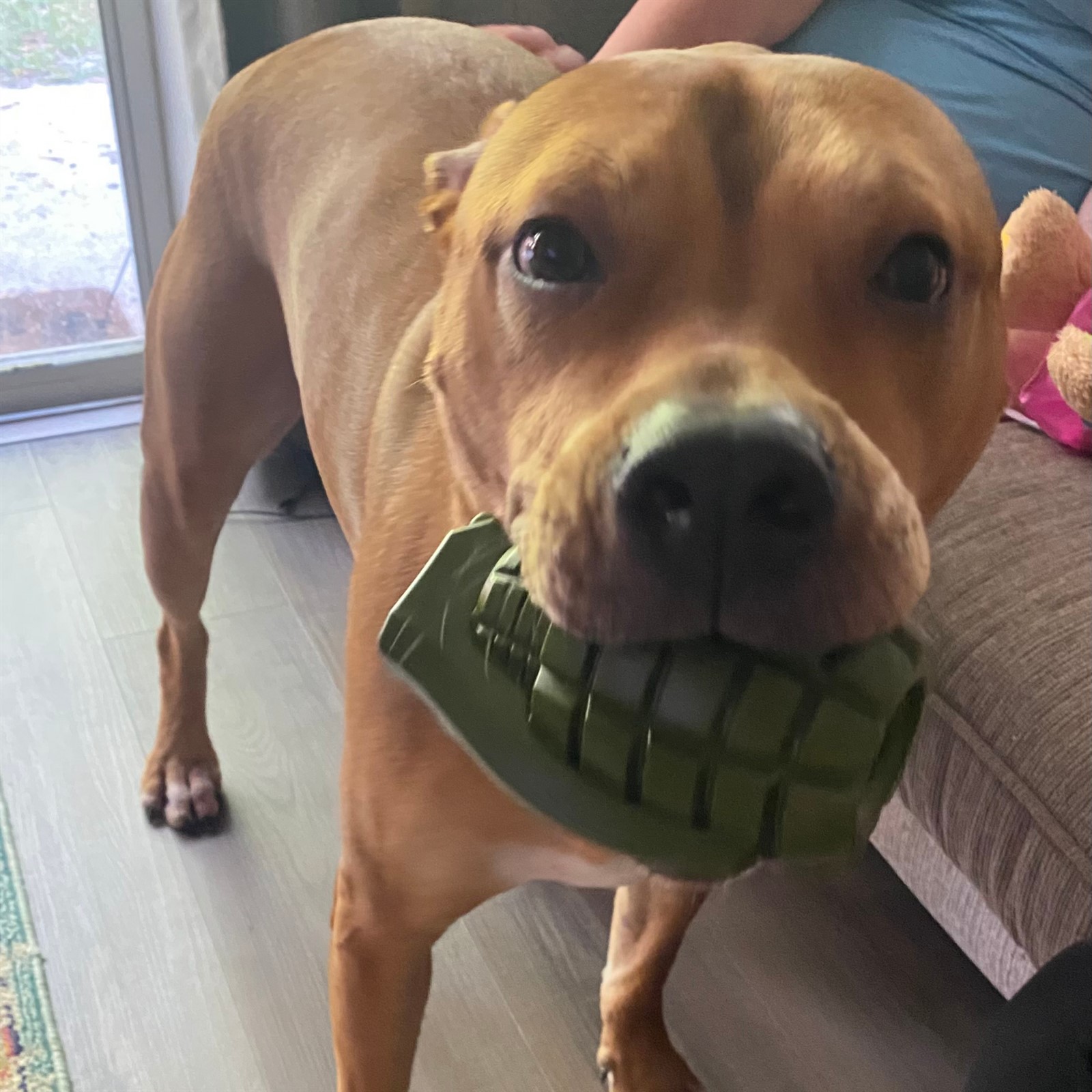 Operation Good Boy Indestructible Dog Toy