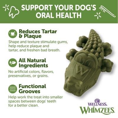 Paragon Alligator Dental Dog Treat