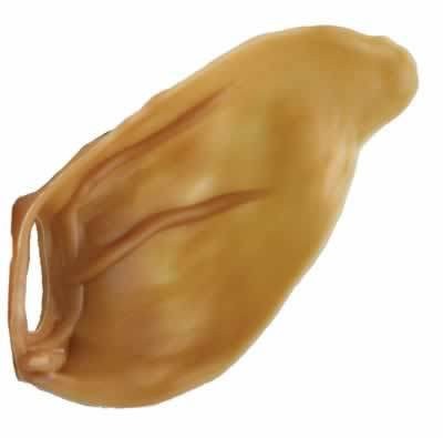 Paragon Veggie Ear Dental Dog Treat